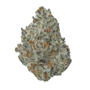 Truffle and Cream