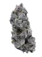 PermanentChimeraIndoorCannabisFlowerHighTHCA_2048x2048