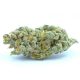 SUGAR-SHOW-HGA-1
