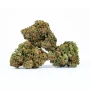 Wasabi-Kush-Strain.jpg
